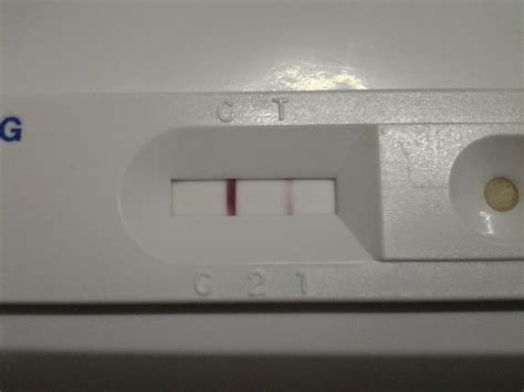 Are they accurate or is a false positive or false negative possible? Suplemensihat2u: Waktu sesuai buat ujian kehamilan