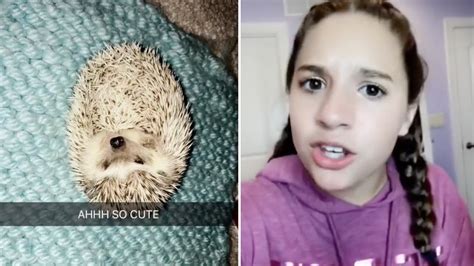 The topic of this page has a wikia of its own: Mackenzie Ziegler Adopts An Adorable Baby HEDGEHOG - YouTube