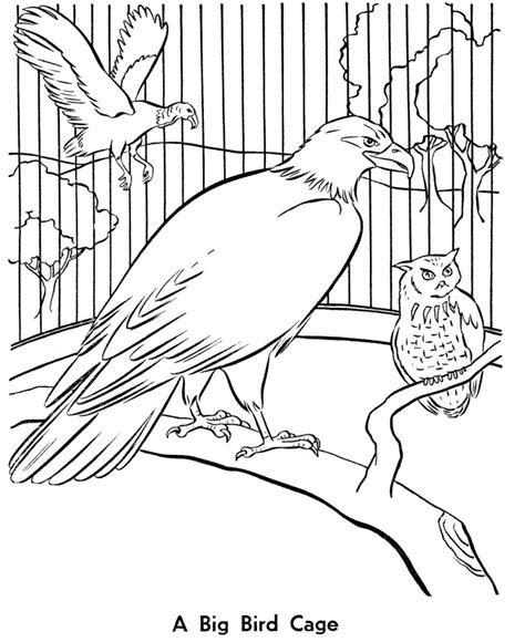 Bring the zoo to your home. Free Printable Zoo Coloring Pages For Kids