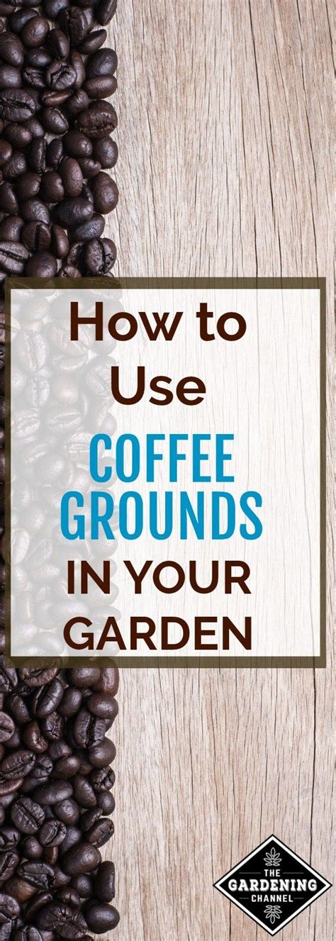 It is a solid material i was cautioned by a seasoned gardener not to use leftover coffee grounds in the garden before. Start Saving Used Coffee Grounds! Here Are All The Things ...