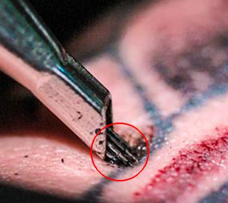 The total healing time will depend on the size and placement of your tattoo. Fascinating Video Showing Why Tattoos Hurt and 5 Other ...