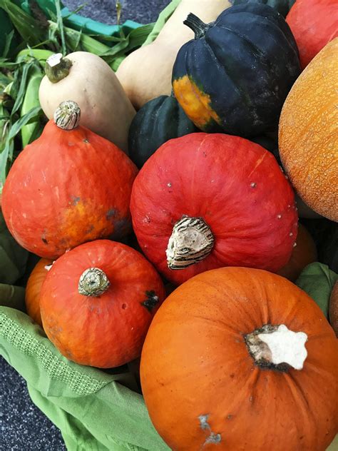 Jun 16, 2017 · swirl pan lightly to spread or use the ice cream scoop edge to spread into 11cm / 4.5 circle (ruler is a must) (joking!). Make Squash Butter for all your Pumpkin Spice Needs