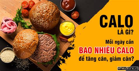 Calo là gì? Mỗi ngày cần bao nhiêu calo để tăng cân, giảm cân?