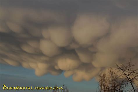 Am donnerstag haben die berliner über zerbeulte wolken am himmel gestaunt. #mammatus clouds on Tumblr