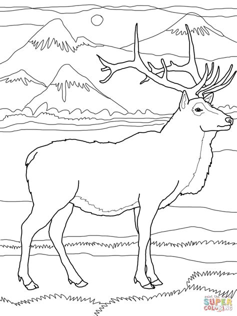 Almost files can be used for commercial. Elk or Wapiti coloring page | Free Printable Coloring Pages