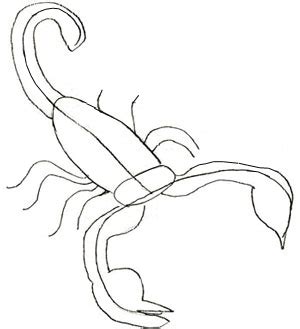 Learn how to draw a scorpion! How to Draw a Scorpion - Draw Step by Step