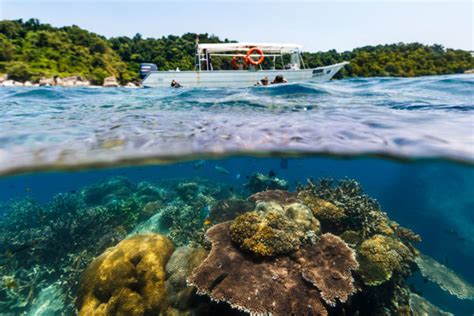 Mengenai tempat ini ini adalah di tanah besar (di lumut), tetapi jika anda tidak keberatan menaiki bot selama 30 minit ke pulau pangkor, resort ini menawarkan anda padat kemalangan gaya yang luas dan minimalis. 15 Tempat Wisata Terbaik di Malaysia - Western Rovers Tour ...