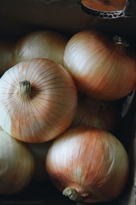Vidalia Onions with Grape Tomatoes and Spaghetti - Living The Gourmet