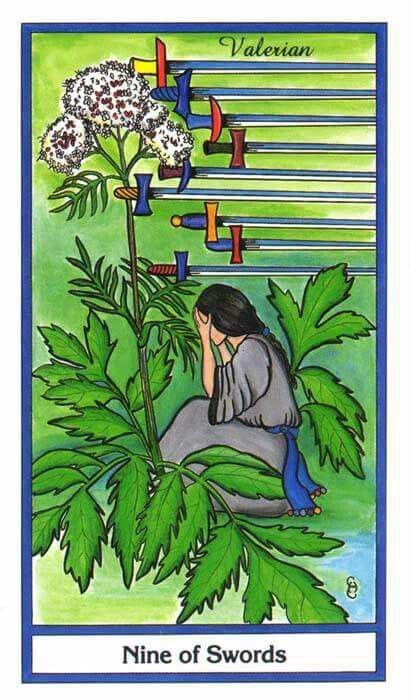 This minor arcana card signifies guilt, remorse and regret so it can be sign that keeping secrets, infidelity or deception is taking its toll on the relationship. 9 of swords | All tarot cards, Tarot card meanings, Tarot decks