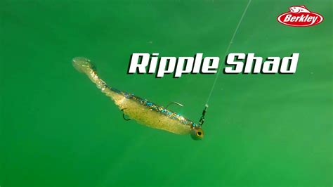 What is the last leg of controversial issues ranging from the sec and the ripple case? Ripple Shad - YouTube