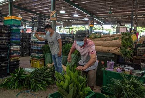 Berkuatkuasa mulai 15 oktober 2019, cidb malaysia memperkenalkan kad pintar pendaftaran. Pekerja asing, pemegang kad UNHCR dilarang masuk Pasar ...