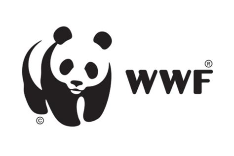 The star online latest news malaysia today. WWF-Malaysia wants Putrajaya to set up National Tiger Task ...