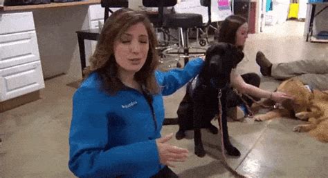 Your resource to discover and connect with designers worldwide. Check Out Some Of The Funniest GIF's And Get Your Laugh On ...