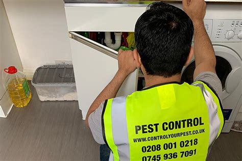 When you choose a pest control company it is a major decision you should not take likely. About Us - London Pest Control Experts