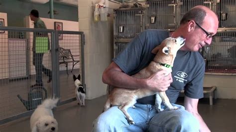 For almost 20 years, atlanta animal rescue friends has worked to create a world where every pet matters. About Atlanta Pet Rescue & Adoption - YouTube