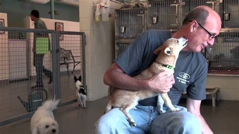 Adopt a pet from the aspca. About Atlanta Pet Rescue & Adoption - YouTube