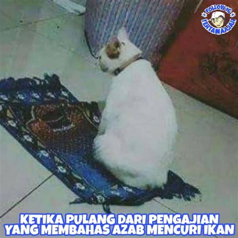 Medsos merupakan salah satu alat percakapan yang sekarang ini sedang digandrungi di semua penjuru dunia termasuk juga di negara kita. 8 Meme 'Tingkah Lucu Kucing' yang Kelakuannya Ngegemesin ...
