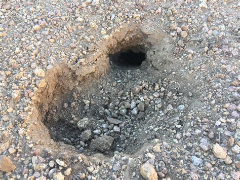 Anyone familiar with Arizona wildlife know what could’ve made this hole