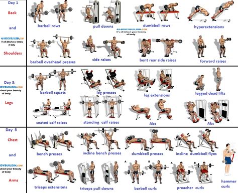 You don't build muscle when you're exercising, you build muscle when you're resting, so try not to do a strength training routine (of the same muscle groups) two days in a row. 3-Day Muscle Building Workouts For Busy People - Bodydulding