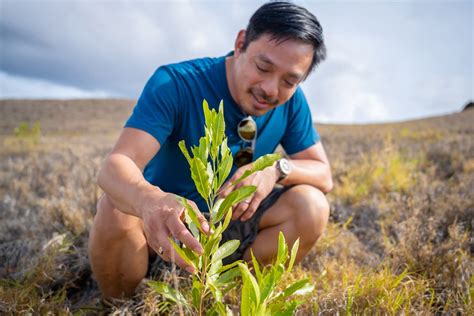 Is he 'the next pm' because 'all so rely on him already', netizens ask fb screengrab/ sgag page (annie how) Ex-Reddit CEO to plant one trillion trees to 'reverse ...