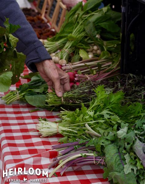 Click here to find out more information or to book a reservation. Farm to Table Report - JAN/FEB 2020 / Heirloom Farmers Markets