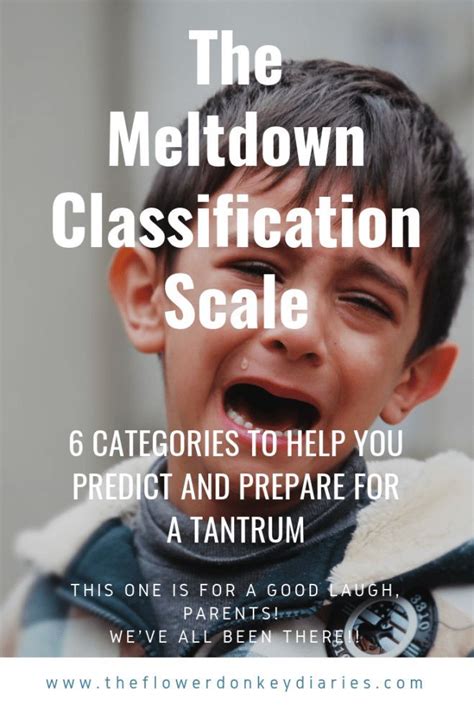 The Meltdown Classification Scale | Parenting, Gentle ...