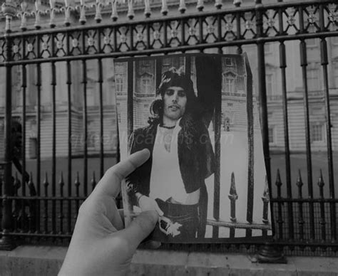 A suburban london street has been renamed in honor of late musician freddie mercury. Freddie Mercury & Queen in 2020 | Freddie mercury, London ...