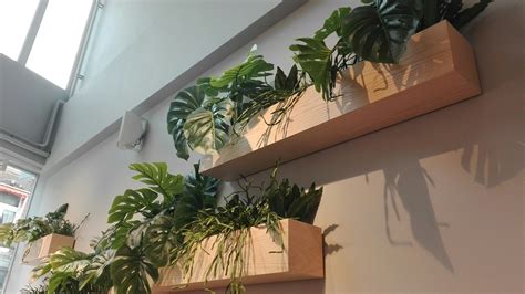 Met planten aan de muur geef je je urban jungle een creatieve twist als je een beetje op de hoogte bent van de laatste interieurtrends, dan weet je vast dat planten populairder dan ooit zijn. Plantenbak muur binnen | Muur plantenbak, Plant muur ...