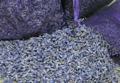 Moreover purchasing the flowers like this in bulk directly from a wholesaler can help you save some big bucks. 1lb HIGHEST FRAGRANCE Dried Lavender Organic Bulk French 8oz