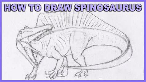 Here is some more cool facts about the spinosaurus (downloadable fact sheet). How To Draw Spinosaurus Step By Step Tutorial - QUADPEDAL ...