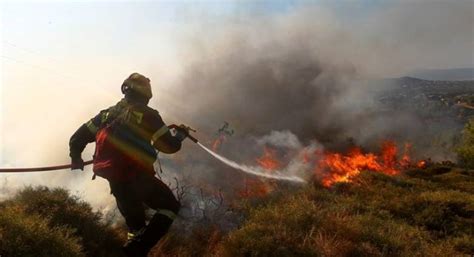 Όταν δεν τρέχει στα βουνά βάζει «φωτιά» στο instagram (pics). ΤΩΡΑ - Πυρκαγιά στη Δυτική Αχαΐα - Σε καλαμιές στην παλιά Περιστέρα | tempo24.news