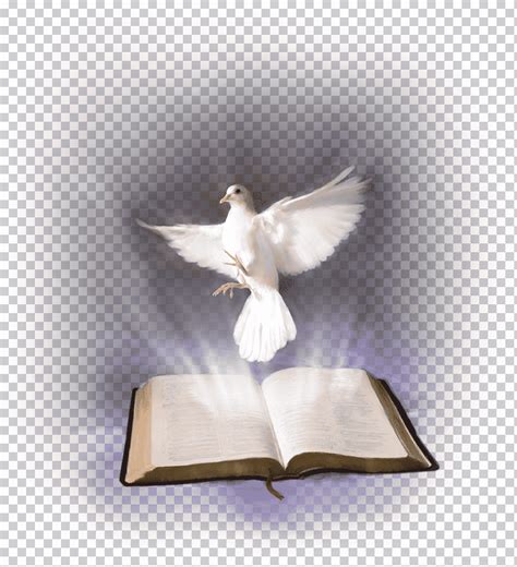 Siento el fuego del espíritu santo! Paloma blanca y libro abierto ilustración, biblia Espíritu ...