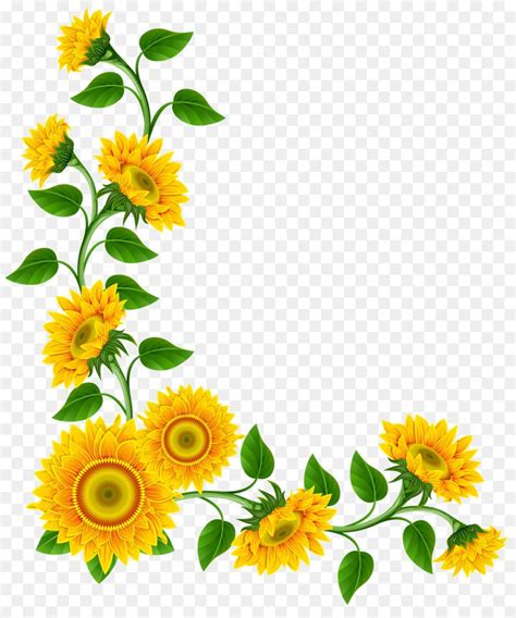 Seeking more png image vintage gold frame png,border frame png,gold frame png? Gambar Bunga Matahari Png - Desain Rumah