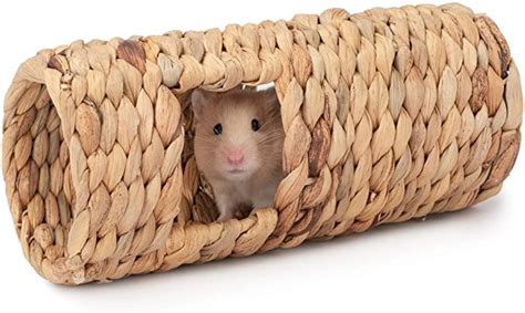 Amazon.com : Niteangel Creative & Composable Hamster ...