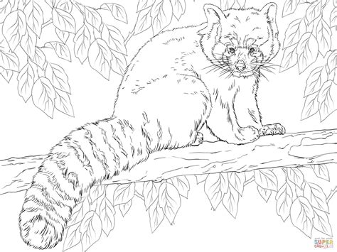 Baby red panda video realistic coloring page for adults free giant colored pages. Red Panda Sitting on Branch Coloring Online | Super Coloring