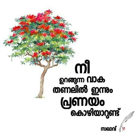 Последние твиты от madhavikutty m s (@madhavikuttyms). Pin by Bindhu on Malayalam Quotes& Writings | Quotes deep ...
