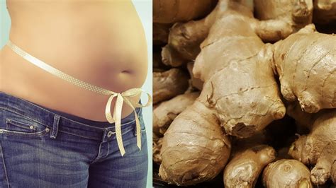 Lipolysis is the process of burning fat for energy and cardio alone won't help you get rid of more stored body fat. HOW TO MAKE GINGER WRAPS AND BURN BELLY FAT OVERNIGHT ...