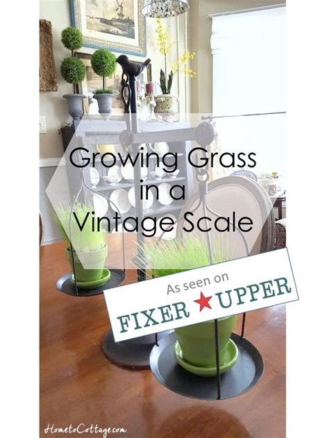 Looking good now this vintage scale needed quite a bit of help to come back to life. Grow Grass in a Vintage Looking Scale | Hometalk