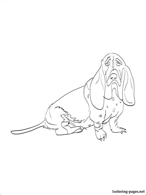 The blue basset is rare to find since it's from a recessive gene. The best free Hound coloring page images. Download from ...