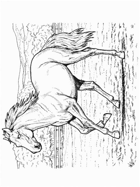 For kids & adults you can print horse or color online. Coloring Page Farm Horse Animal Realistic Image taken from ...