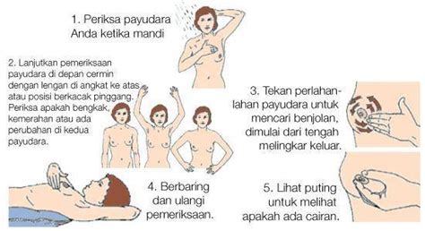 Precordial catch syndrome atau pcs adalah rasa nyeri pada dada yang diakibatkan rasa nyeri itu bisa semakin parah saat tubuh sang ibu condong ke depan.otot dan. Benjolan Di Payudara Kiri Atas Pada Ibu Menyusui - Info ...