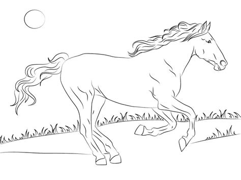 Shelby mustang carry over colors. Kids-n-fun.com | Coloring page Horse breeds mustang