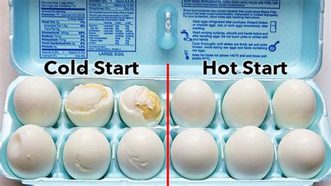 We did not find results for: The Best Way To Make Easy-To-Peel Boiled Eggs: Give Them A Hot Start | Lifehacker Australia