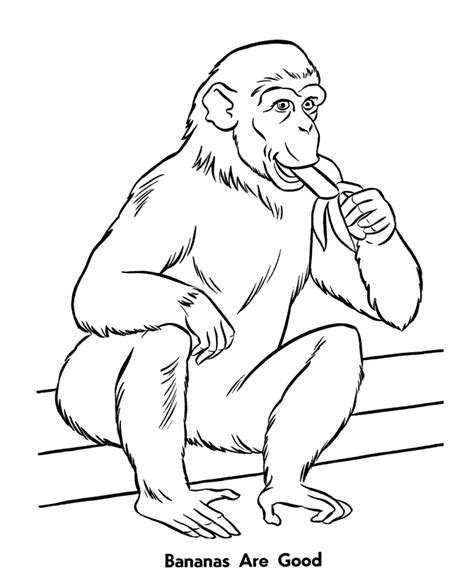 Here you can find domestic and wild animals, cats with kittens, dogs with puppies, birds and fish, horses of course, there are coloring pages of domestic animals and midland forest inhabitants. Zoo animal coloring page | Monkeys eating bananas (With images) | Zoo animal coloring pages, Zoo ...