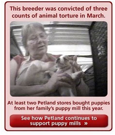 Many people don't realize that mass breeders produce nearly all of the the outbreak of 2017 was linked to puppies sold in petland stores spanning across 17 states. Petland Class Action Lawsuit Filed by Hundreds of ...