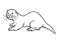 Otter coloring pages with wallpaper hd. Otter Coloring Pages and Printable Activities