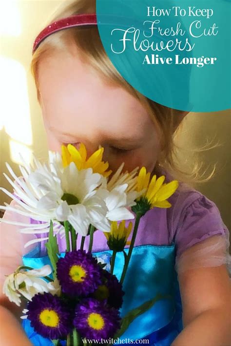 5 easy flower arrangements + how to keep them alive. How To Keep Fresh Cut Flowers Alive Longer - Twitchetts