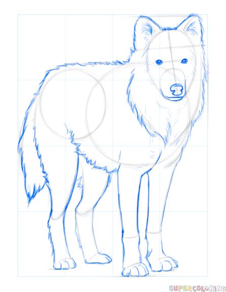Hospitals are struggling to keep up as the u.s. How to draw an arctic wolf | Step by step Drawing tutorials | Animales salvajes, Animales, Salvajes