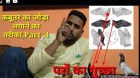 Hi friends aaj is video me maine elastic lagane ka sabse aasan tarika bataya h pls mere video ko like kare share comment kare. Kabutar ka joda lagane ka tarika. कबूतर का जोड़ा लगाने का ...