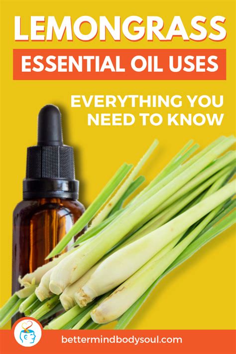 Lemongrass was on that list now i just read it will make my cat sick. A Guide to Lemongrass Essential Oil and Why You Need Some ...